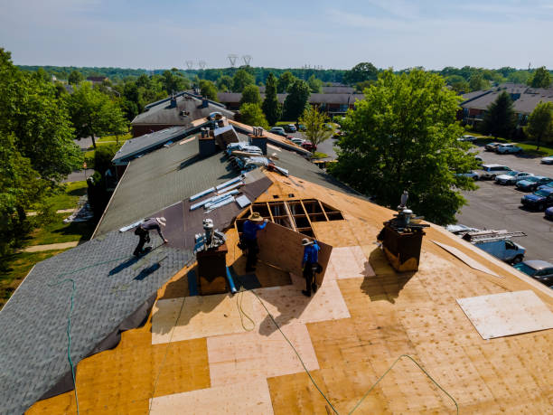 Trusted Storm Damage Roof Repair service in Baton Rouge, LA - Brentwood Metal Roofing